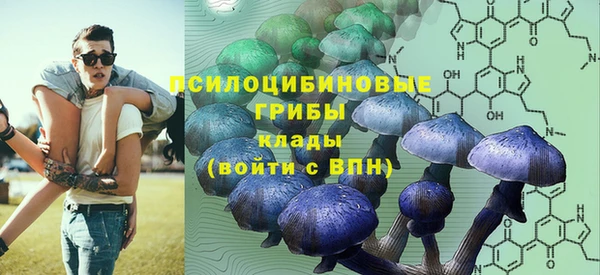тгк Абдулино