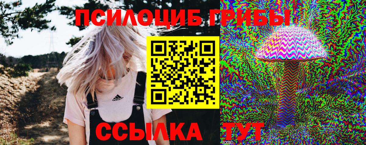 Богородицк  Псилоцибиновые грибы MAGIC MUSHROOMS  Вход с VPN  цены   Галлюциногенные грибы ЛСД 